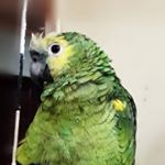 Profile Picture of RockyLedesma (@roc4952) on Instagram