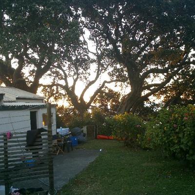 Profile Picture of Tom McLean (@TomMcLeanNZ) on Twitter