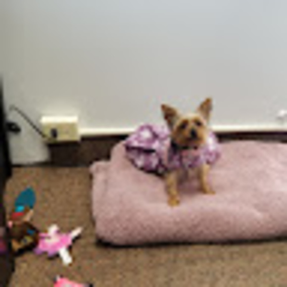 Profile Picture of Rick Kovalsky (@rickpliske) on Poshmark