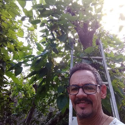 Profile Picture of José Carlos Menezes (@JosCarl25454673) on Twitter