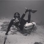 Anita Cheng - Instagram Profile Picture of Anita Cheng (@anita345310) on Instagram