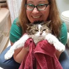 Profile Picture of Lisa Bridges (@Risaroos) on Twitter