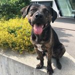 Profile Picture of Aaron 🐾🖤 (@aaron_baby3) on Instagram