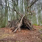 Profile Picture of David Arbor (@David-Arbor) on Facebook