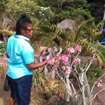 Profile Picture of Tillet Scott (@Tillet-Scott) on Facebook