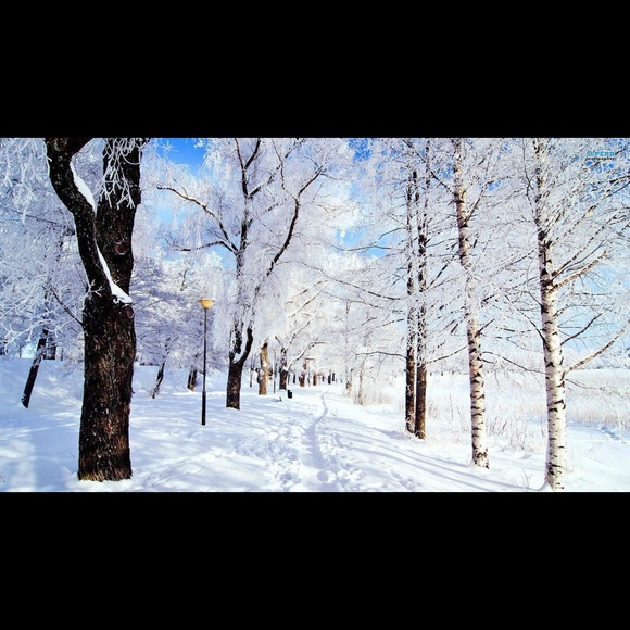 Profile Picture of Taylor Werren (@tjwerre23) on Poshmark