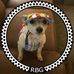 Profile Picture of Karen Eckstrom (@karen.eckstrom.5) on Facebook