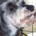 Profile Picture of Webster Lee Cadwallader (@websterlee.cadwallader) on Facebook