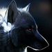 Profile Picture of Samuel Piccolotto (@Samudicemandi) on Pinterest