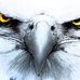 Profile Picture of John Tessier (@john.tessier.14) on Facebook