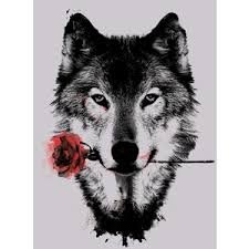 Profile Picture of Susan Harker (@SusanHarker4) on Twitter