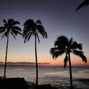 Profile Picture of Cindy Barry (@cindybarry4910) on Youtube