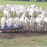 Profile Picture of Andre Maliska (@andre_maliska) on Instagram