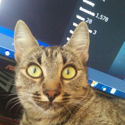 Profile Picture of Bogdan Daniel (@MorpHeer) on Twitter