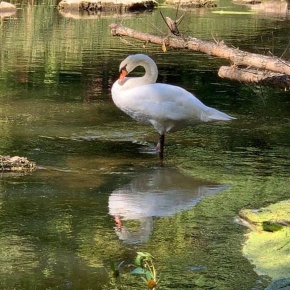 Profile Picture of Beth Camann (@bcamann22) on Poshmark