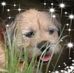 Profile Picture of Craig Simons (@craig.simons.7) on Facebook