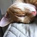 Profile Picture of Michael Cheng (@mchengplus) on Pinterest