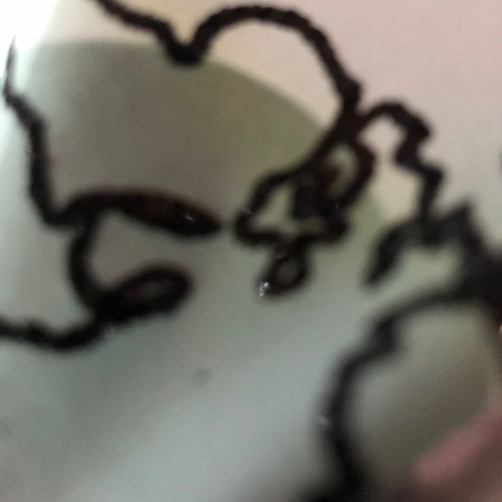 Profile Picture of Ava Baxter (@avabaxter12) on Tiktok