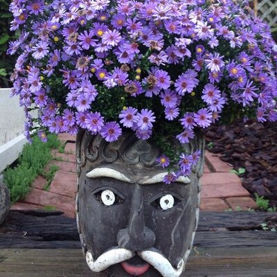 Profile Picture of Jason Swope (@landscapemgtsol) on Twitter