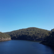 Profile Picture of Corrina Hansen (@corrinahansen6721) on Youtube