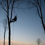 Profile Picture of Matthew Mosher (@treeguyvt) on Instagram