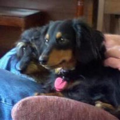 Profile Picture of Marilyn Jacobson (@mjvk1028) on Twitter