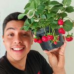 Profile Picture of Isaac horta em apartamento (@isaac_horta_em_apartamento_) on Instagram