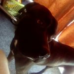 Profile Picture of daniel ďedek (@1danyoffroad) on Instagram