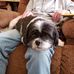 Profile Picture of Martie Matthews (@martie.matthews.7) on Facebook