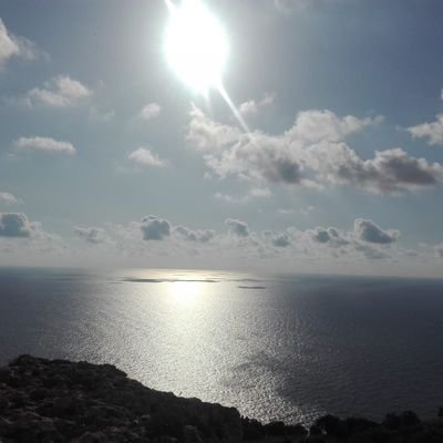 Profile Picture of Pedro Soler Borrego (@BorregoSoler) on Twitter