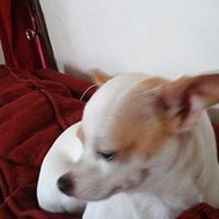 Profile Picture of Sandy Carlton (@sandy-carlton-1) on Quora