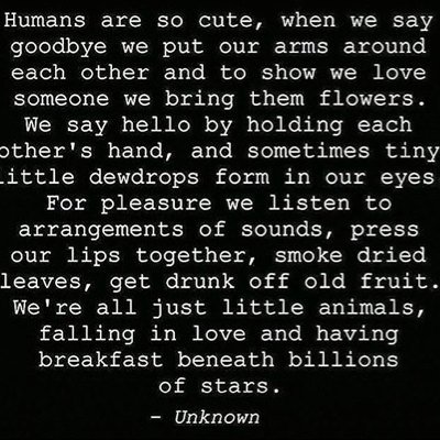 Profile Picture of Lucia Wilson (@IMMLWLSON) on Twitter