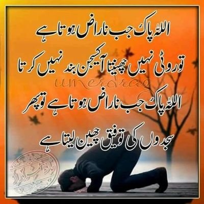 Mohammad Saifullah - Twitter Profile Picture of Mohammad Saifullah (@Mohamma94166763) on Twitter