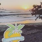 Profile Picture of Carl Ziegler (@wickedzig77) on Instagram