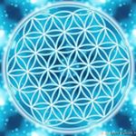 Profile Picture of Sevgiye Davetim (@sevgiyedavetim) on Instagram