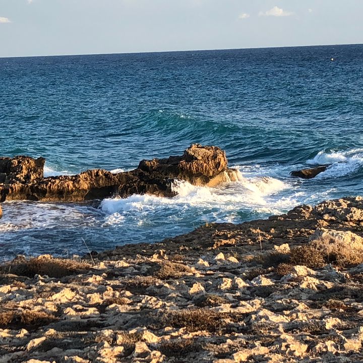 Profile Picture of Lyylinen (@scottlyylinen) on Tiktok