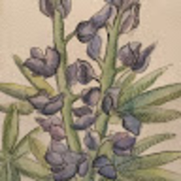 Profile Picture of Jacqueline Mac (@jackiinthesky) on Poshmark