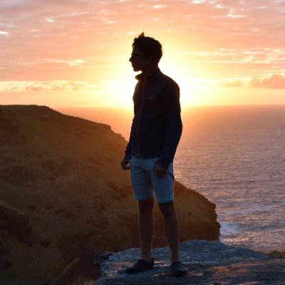 Profile Picture of Robin Schaub (@robin_schaub) on Twitter