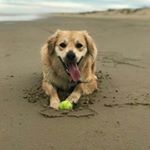 Profile Picture of adri..perkinskami (@adrizingarakami) on Instagram