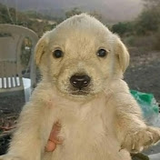 Profile Picture of MATEO Gonzales (@MATEOGonzales-bp7zi) on Youtube