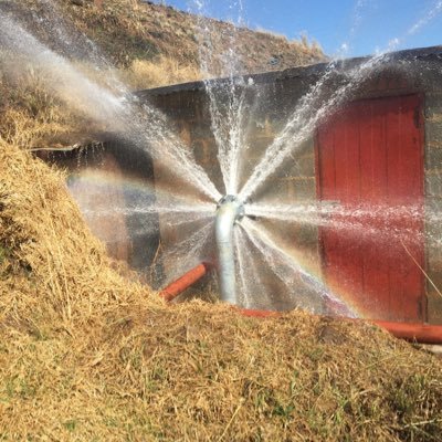 Profile Picture of Mark Menton (@mark_menton) on Twitter