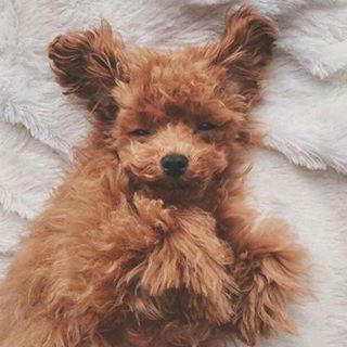 Profile Picture of Xu Ming (@ming.xu.50115161) on Facebook