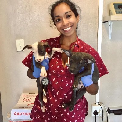 Profile Picture of Megan (@megan_hayley) on Twitter