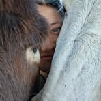 Profile Picture of Lora McElhinny (@lora.mcelhinny) on Facebook