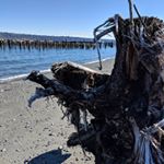 Profile Picture of Chris Reavis (@ckr528) on Instagram