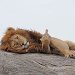 Profile Picture of matt hull | durban (@handsinmypants) on Instagram