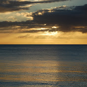 Profile Picture of Jenna Noto (@jennanoto8809) on Youtube