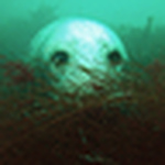 Profile Picture of Firstyphoto (@firstyphoto) on Flickr