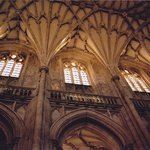 Profile Picture of Patty Clonch (@clapperic) on Instagram