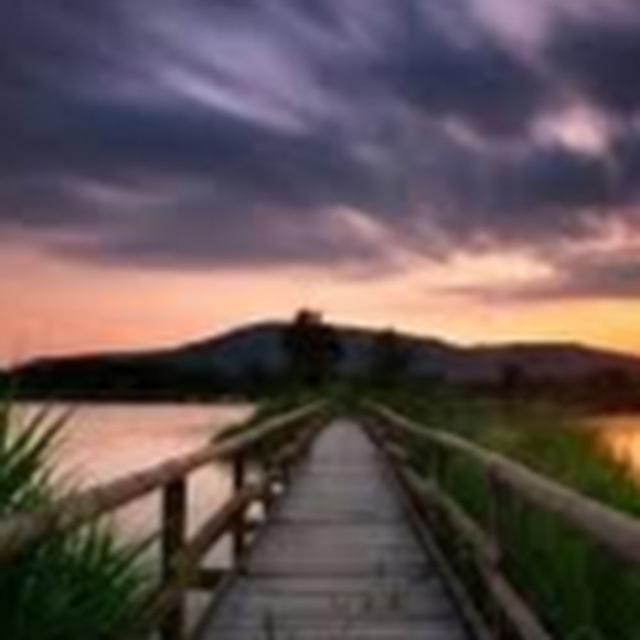 Savannah Stephenson - Poshmark Profile Picture of Savannah Stephenson (@savannahstep780) on Poshmark